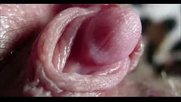 big clit orgasm closeup