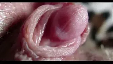 big clit orgasm closeup