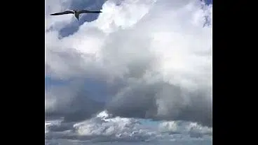 BEACH DAY WITH A RAINBOW