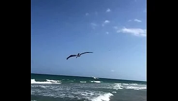 MAXXX LOADZ AT THE BEACH ENJOYING NATURE