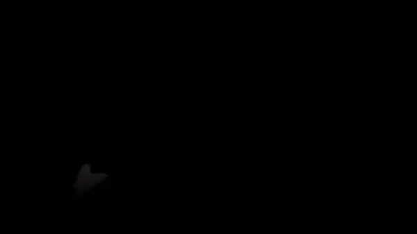 XVideos