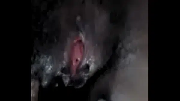 Xvideos